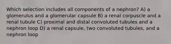 Which selection includes all components of a nephron? A) a glomerulus and a glomerular capsule B) a renal corpuscle and a renal tubule C) proximal and distal convoluted tubules and a nephron loop D) a renal capsule, two convoluted tubules, and a nephron loop