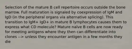 Selection of the mature B cell repertoire occurs outside the bone marrow. Full maturation is signaled by coexpression of IgM and IgD (in the peripheral organs via alternative splicing). This transition to IgM+ IgD+ in mature B lymphocytes causes them to express what CD molecule? Mature naïve B cells are now ready for meeting antigens where they then can differentiate into clones --> unless they encounter antigen in a few months they die