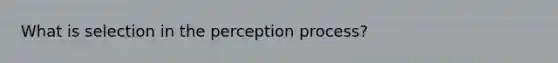 What is selection in the perception process?