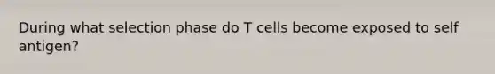 During what selection phase do T cells become exposed to self antigen?