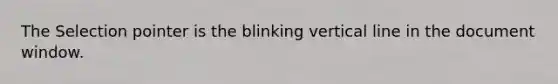 The Selection pointer is the blinking <a href='https://www.questionai.com/knowledge/k6j3Z69xQg-vertical-line' class='anchor-knowledge'>vertical line</a> in the document window.