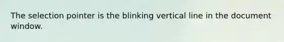 The selection pointer is the blinking <a href='https://www.questionai.com/knowledge/k6j3Z69xQg-vertical-line' class='anchor-knowledge'>vertical line</a> in the document window.