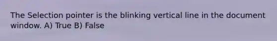 The Selection pointer is the blinking vertical line in the document window. A) True B) False