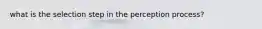 what is the selection step in the perception process?