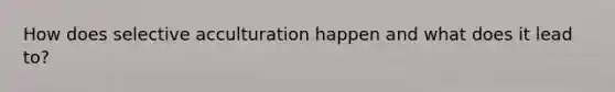 How does selective acculturation happen and what does it lead to?