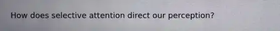 How does selective attention direct our perception?