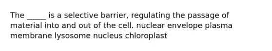 The _____ is a selective barrier, regulating the passage of material into and out of the cell. nuclear envelope plasma membrane lysosome nucleus chloroplast