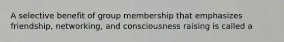 A selective benefit of group membership that emphasizes friendship, networking, and consciousness raising is called a