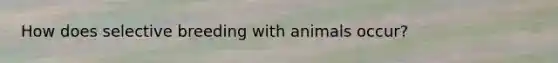 How does selective breeding with animals occur?