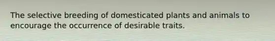 The selective breeding of domesticated plants and animals to encourage the occurrence of desirable traits.