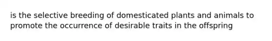 is the selective breeding of domesticated plants and animals to promote the occurrence of desirable traits in the offspring