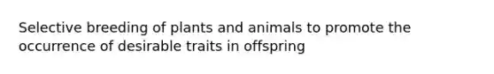 Selective breeding of plants and animals to promote the occurrence of desirable traits in offspring