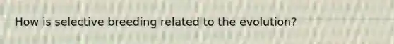 How is selective breeding related to the evolution?