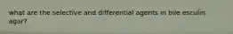 what are the selective and differential agents in bile esculin agar?