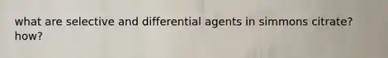 what are selective and differential agents in simmons citrate?how?