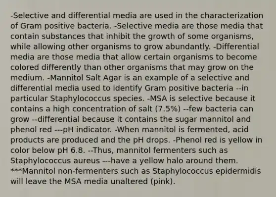 -Selective and differential media are used in the characterization of Gram positive bacteria. -Selective media are those media that contain substances that inhibit the growth of some organisms, while allowing other organisms to grow abundantly. -Differential media are those media that allow certain organisms to become colored differently than other organisms that may grow on the medium. -Mannitol Salt Agar is an example of a selective and differential media used to identify Gram positive bacteria --in particular Staphylococcus species. -MSA is selective because it contains a high concentration of salt (7.5%) --few bacteria can grow --differential because it contains the sugar mannitol and phenol red ---pH indicator. -When mannitol is fermented, acid products are produced and the pH drops. -Phenol red is yellow in color below pH 6.8. --Thus, mannitol fermenters such as Staphylococcus aureus ---have a yellow halo around them. ***Mannitol non-fermenters such as Staphylococcus epidermidis will leave the MSA media unaltered (pink).