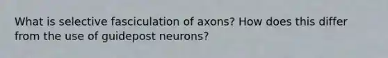 What is selective fasciculation of axons? How does this differ from the use of guidepost neurons?