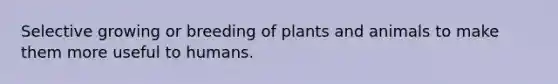 Selective growing or breeding of plants and animals to make them more useful to humans.