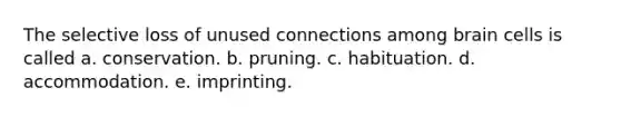 The selective loss of unused connections among brain cells is called a. conservation. b. pruning. c. habituation. d. accommodation. e. imprinting.