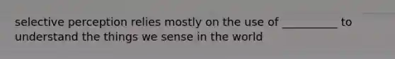 selective perception relies mostly on the use of __________ to understand the things we sense in the world