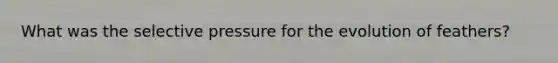 What was the selective pressure for the evolution of feathers?