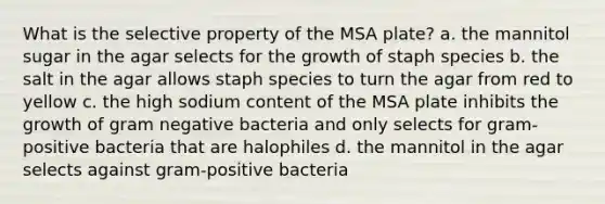 What is the selective property of the MSA plate? a. the mannitol sugar in the agar selects for the growth of staph species b. the salt in the agar allows staph species to turn the agar from red to yellow c. the high sodium content of the MSA plate inhibits the growth of gram negative bacteria and only selects for gram-positive bacteria that are halophiles d. the mannitol in the agar selects against gram-positive bacteria