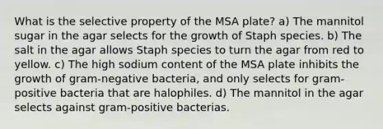 What is the selective property of the MSA plate? a) The mannitol sugar in the agar selects for the growth of Staph species. b) The salt in the agar allows Staph species to turn the agar from red to yellow. c) The high sodium content of the MSA plate inhibits the growth of gram-negative bacteria, and only selects for gram-positive bacteria that are halophiles. d) The mannitol in the agar selects against gram-positive bacterias.