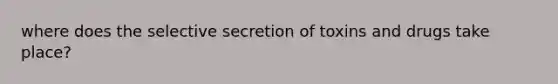 where does the selective secretion of toxins and drugs take place?