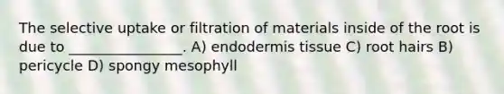 The selective uptake or filtration of materials inside of the root is due to ________________. A) endodermis tissue C) root hairs B) pericycle D) spongy mesophyll