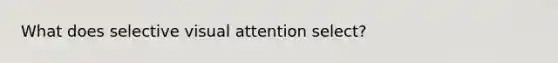 What does selective visual attention select?