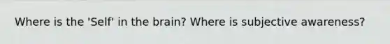 Where is the 'Self' in the brain? Where is subjective awareness?