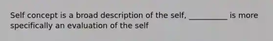 Self concept is a broad description of the self, __________ is more specifically an evaluation of the self