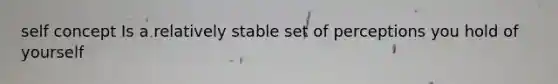 self concept Is a relatively stable set of perceptions you hold of yourself