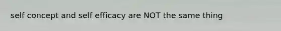 self concept and self efficacy are NOT the same thing