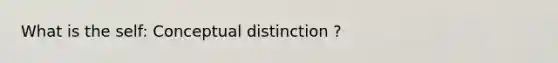 What is the self: Conceptual distinction ?