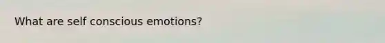 What are self conscious emotions?