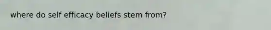 where do self efficacy beliefs stem from?