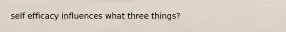 self efficacy influences what three things?