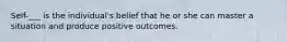 Self-___ is the individual's belief that he or she can master a situation and produce positive outcomes.