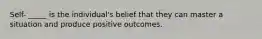 Self- _____ is the individual's belief that they can master a situation and produce positive outcomes.