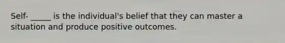 Self- _____ is the individual's belief that they can master a situation and produce positive outcomes.