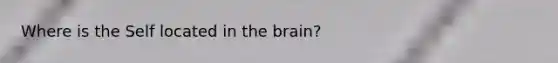 Where is the Self located in the brain?