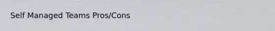 Self Managed Teams Pros/Cons
