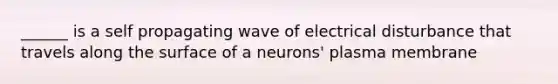 ______ is a self propagating wave of electrical disturbance that travels along the surface of a neurons' plasma membrane