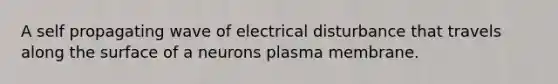 A self propagating wave of electrical disturbance that travels along the surface of a neurons plasma membrane.