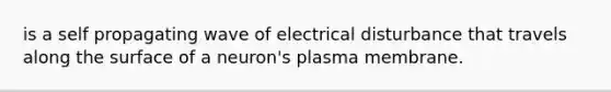 is a self propagating wave of electrical disturbance that travels along the surface of a neuron's plasma membrane.