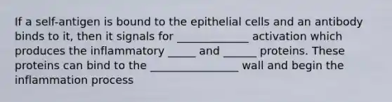 If a self-antigen is bound to the epithelial cells and an antibody binds to it, then it signals for _____________ activation which produces the inflammatory _____ and ______ proteins. These proteins can bind to the ________________ wall and begin the inflammation process