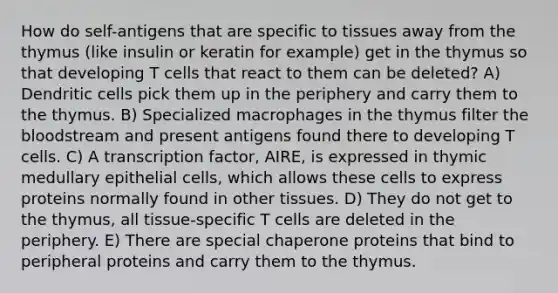 How do self-antigens that are specific to tissues away from the thymus (like insulin or keratin for example) get in the thymus so that developing T cells that react to them can be deleted? A) Dendritic cells pick them up in the periphery and carry them to the thymus. B) Specialized macrophages in the thymus filter the bloodstream and present antigens found there to developing T cells. C) A transcription factor, AIRE, is expressed in thymic medullary epithelial cells, which allows these cells to express proteins normally found in other tissues. D) They do not get to the thymus, all tissue-specific T cells are deleted in the periphery. E) There are special chaperone proteins that bind to peripheral proteins and carry them to the thymus.