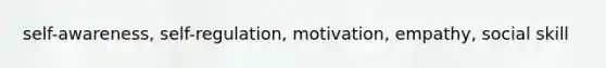 self-awareness, self-regulation, motivation, empathy, social skill