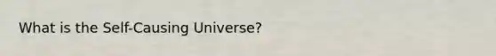 What is the Self-Causing Universe?